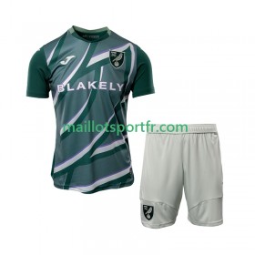 Maillot de Foot Norwich City Enfant Exterieur 2025/26